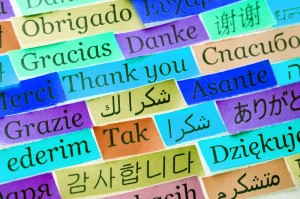 Professional way to say thank you